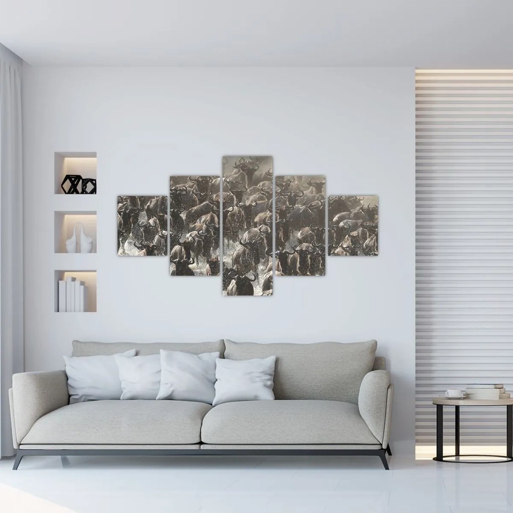 Obraz - Stado antylop gnu (125x70 cm)