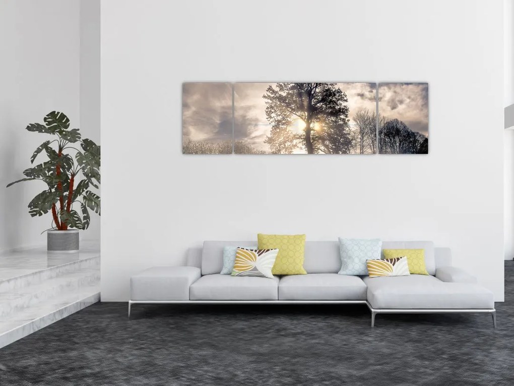 Obraz drzewa we mgle (170x50 cm)