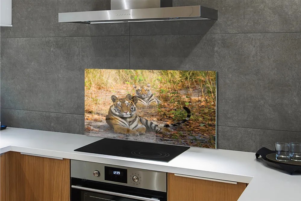 Panel szklany do Kuchni Królewska Para Tygrysów