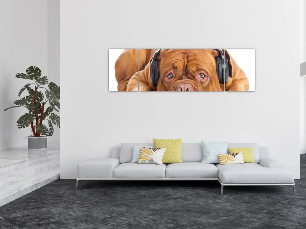 Obraz psa ze słuchawkami (170x50 cm)