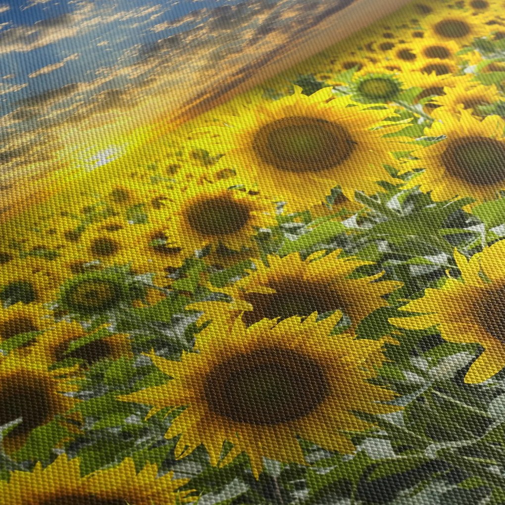 Obraz - Słoneczniki o zachodzie słońca (170x50 cm)
