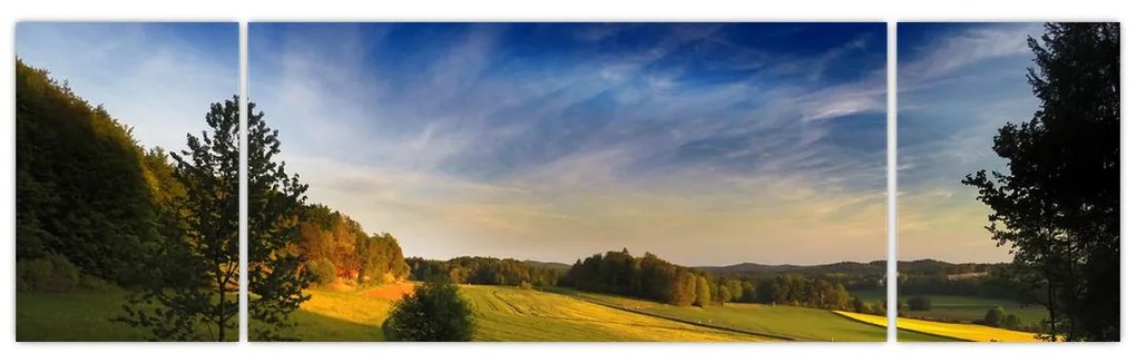 Obraz - Górska łąka (170x50 cm)