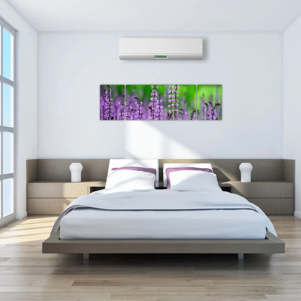 Obraz fioletowych kwiatów polnych (170x50 cm)