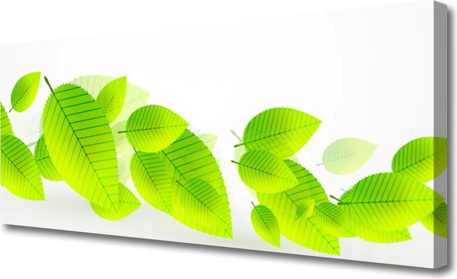 Obraz canvas Zieleń Liści i Kwiatów
