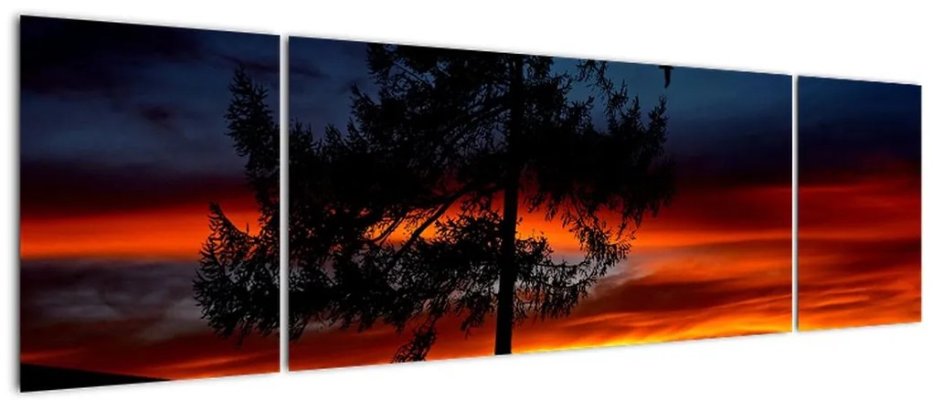 Obraz - Sylwetka wilka (170x50 cm)