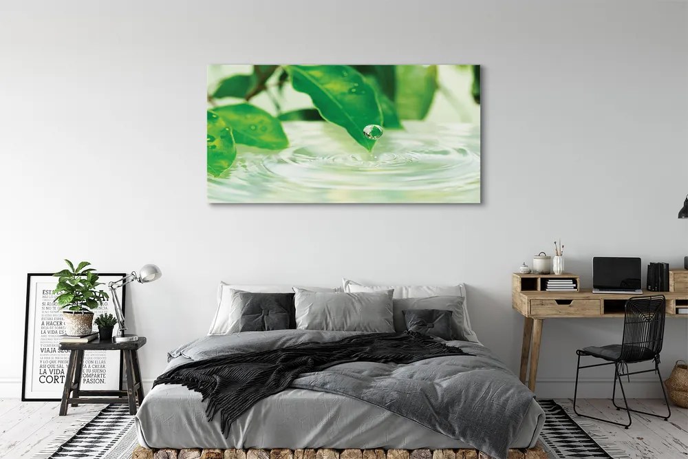Zdjęcie na płótnie Krople Deszczu na Liściach