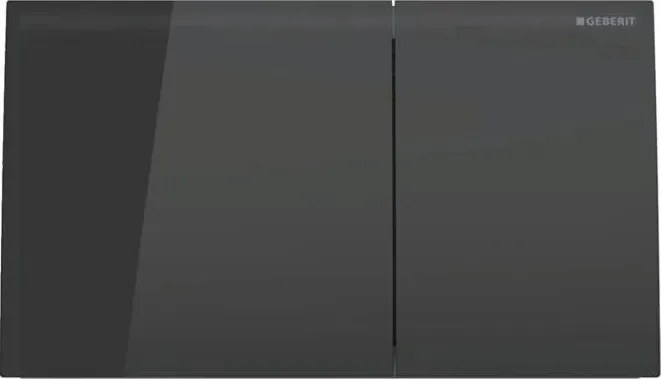 Geberit 115.622.SJ.1 - Przycisk spłukujący Sigma70 25x14,6 cm czarny