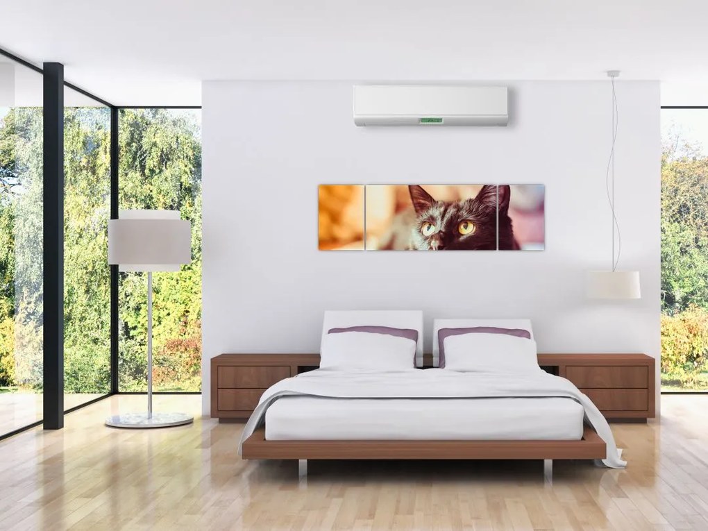Obraz czarnego kota (170x50 cm)