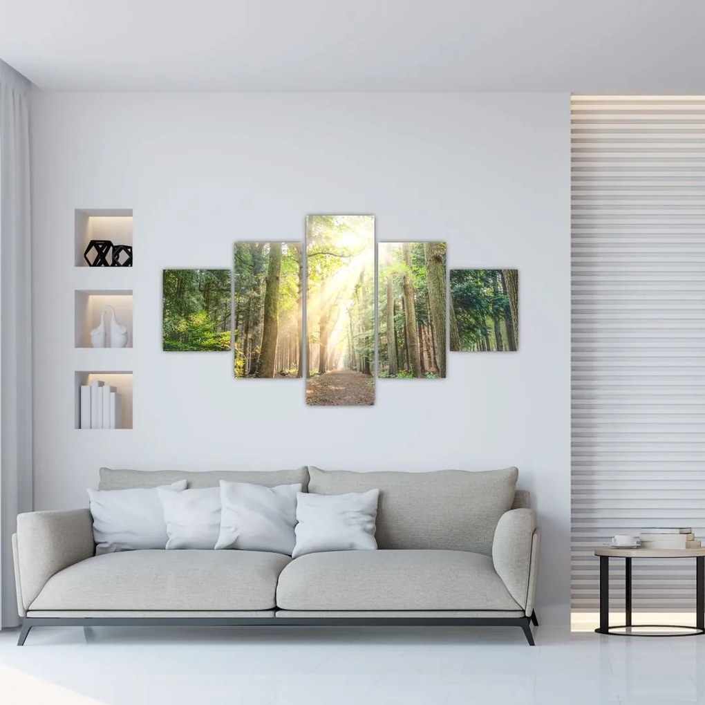 Obraz ścieżki w lesie (125x70 cm)
