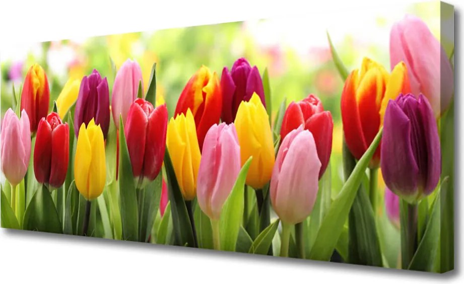 Obraz canvas Pastelowy Bukiet Tulipanów
