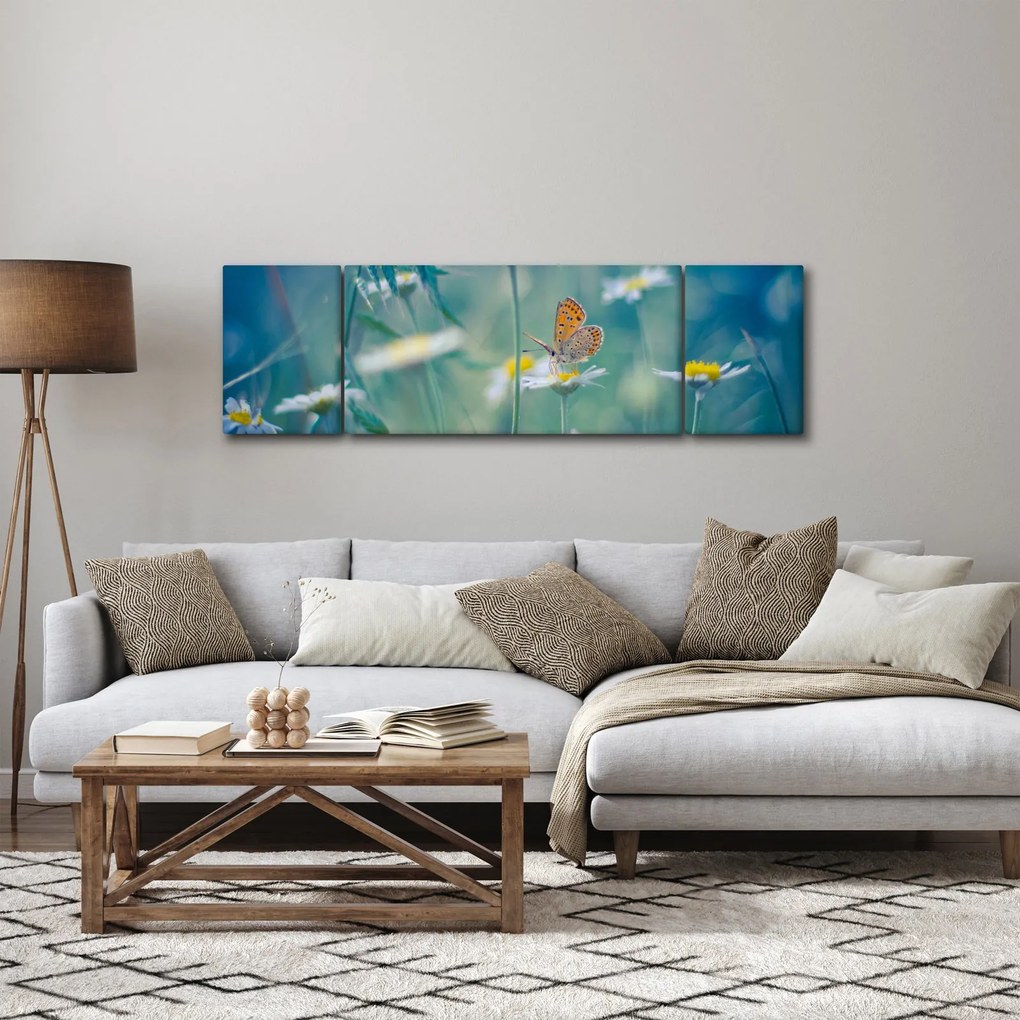 Obraz - Motyl na stokrotce (170x50 cm)