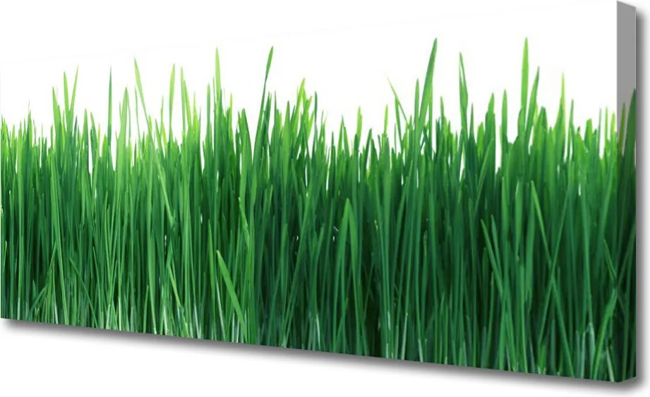 Obraz canvas Naturalna Świeżość Trawy