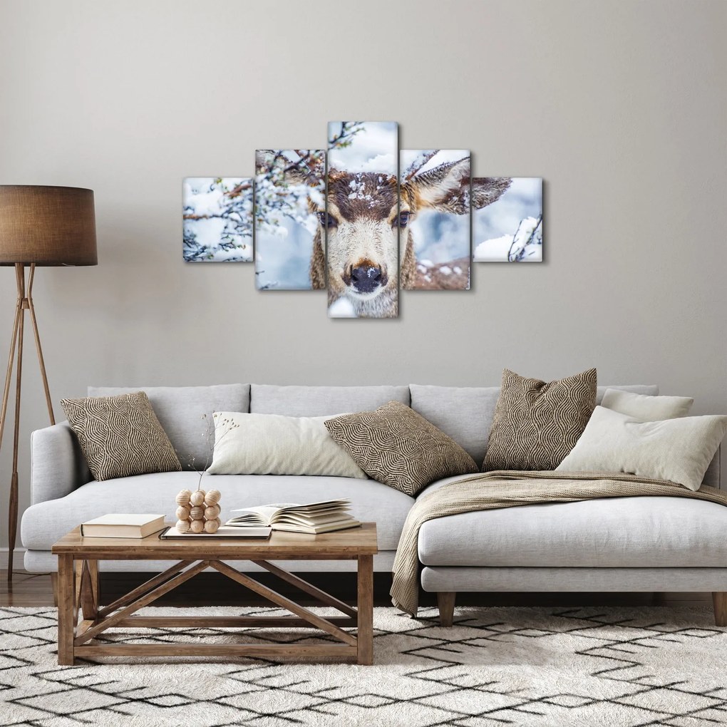 Obraz - Mulak czarnoogonowy (125x70 cm)