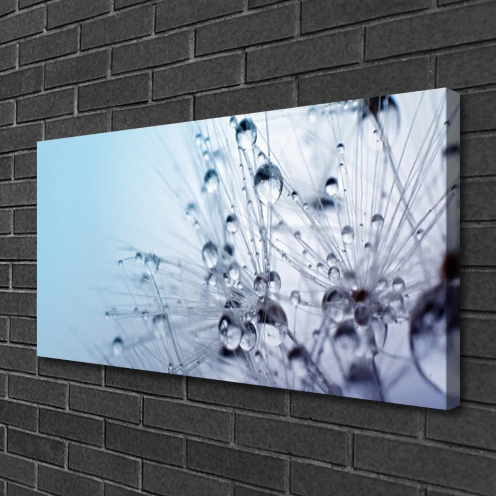 Obraz canvas na ścianę Puszysta Kula Mniszka