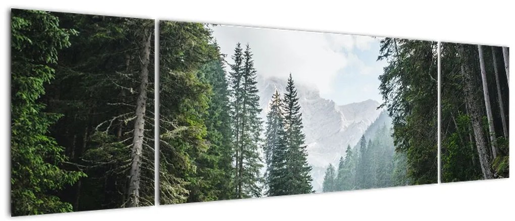 Obraz leśnego jeziora (170x50 cm)