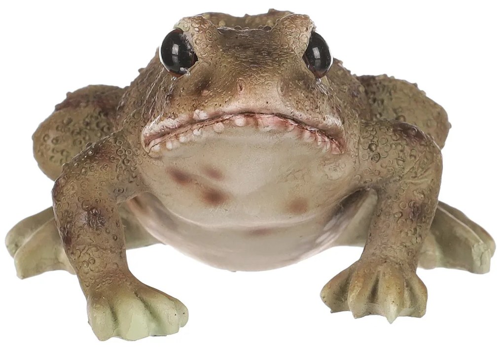 Dekoracja ogrodowa Żaba, 10 x 6 x 8 cm,  polyresin