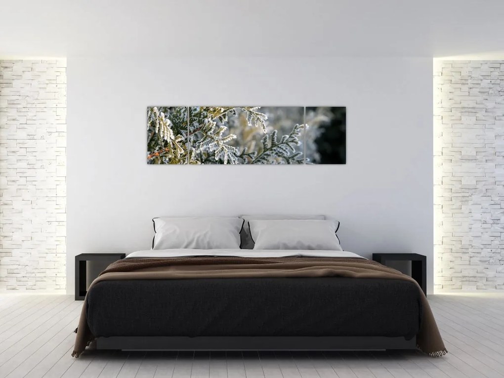 Obraz - Detal gałęzi (170x50 cm)
