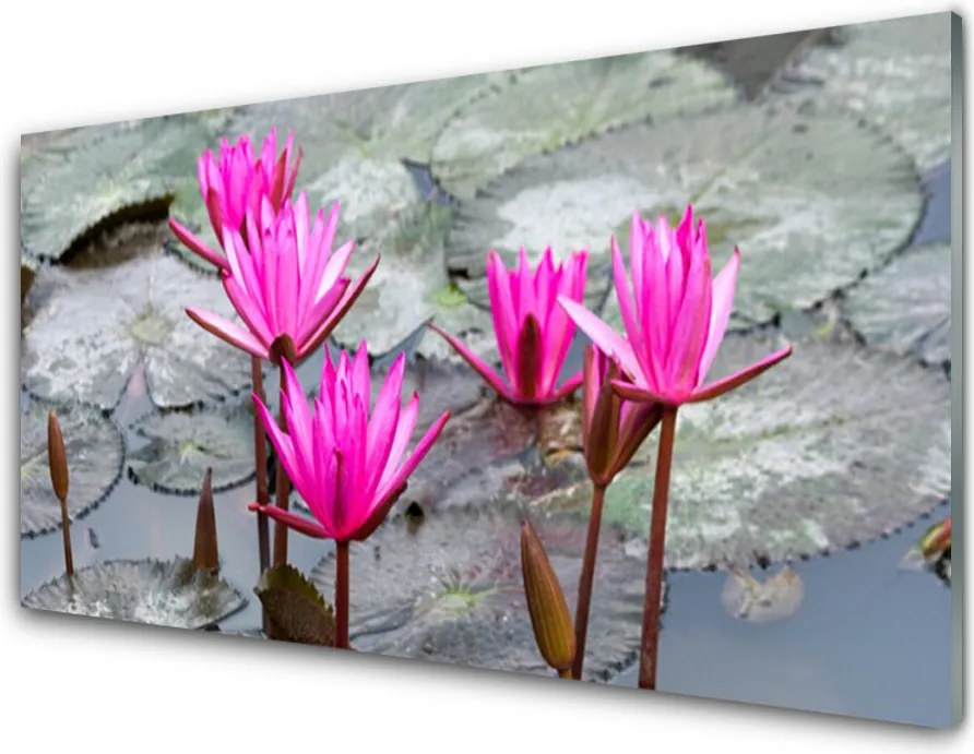 Panel Szklany do Kuchni Wyrafinowany Motyw Florystyczny