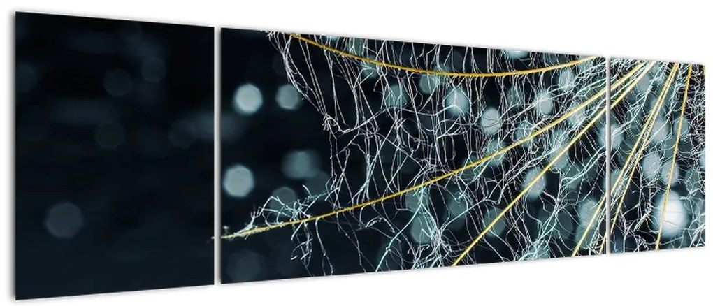 Obraz - Kwiat z pajęczyną (170x50 cm)