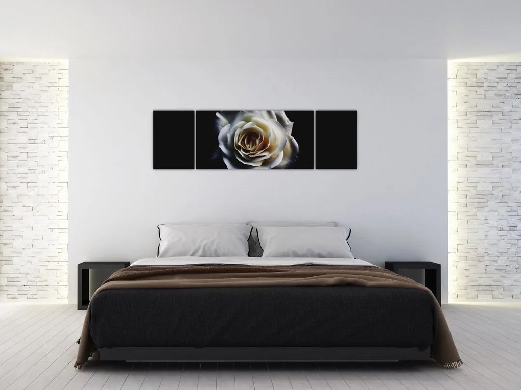 Obraz białej róży (170x50 cm)