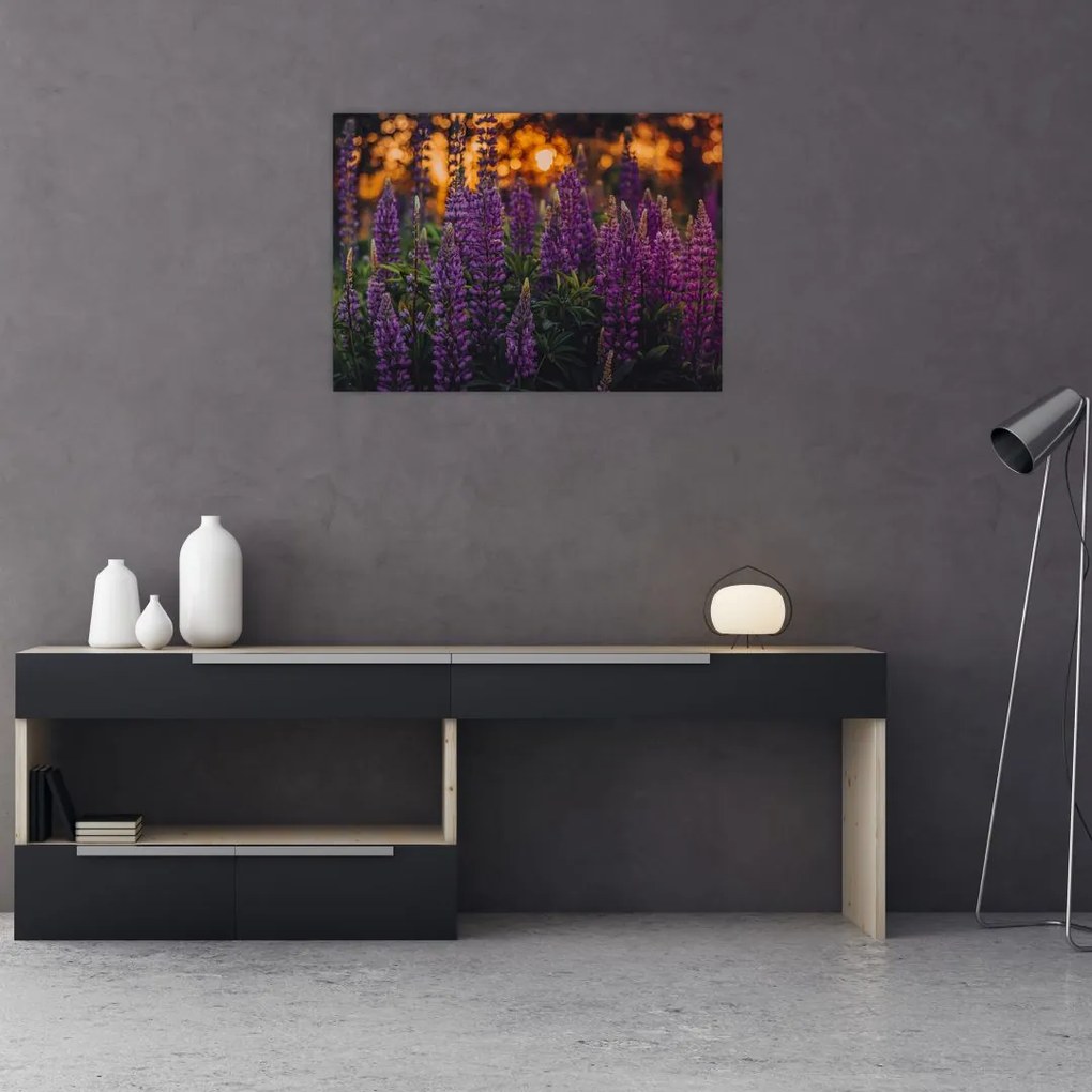Obraz kwiatów łubinu (70x50 cm)