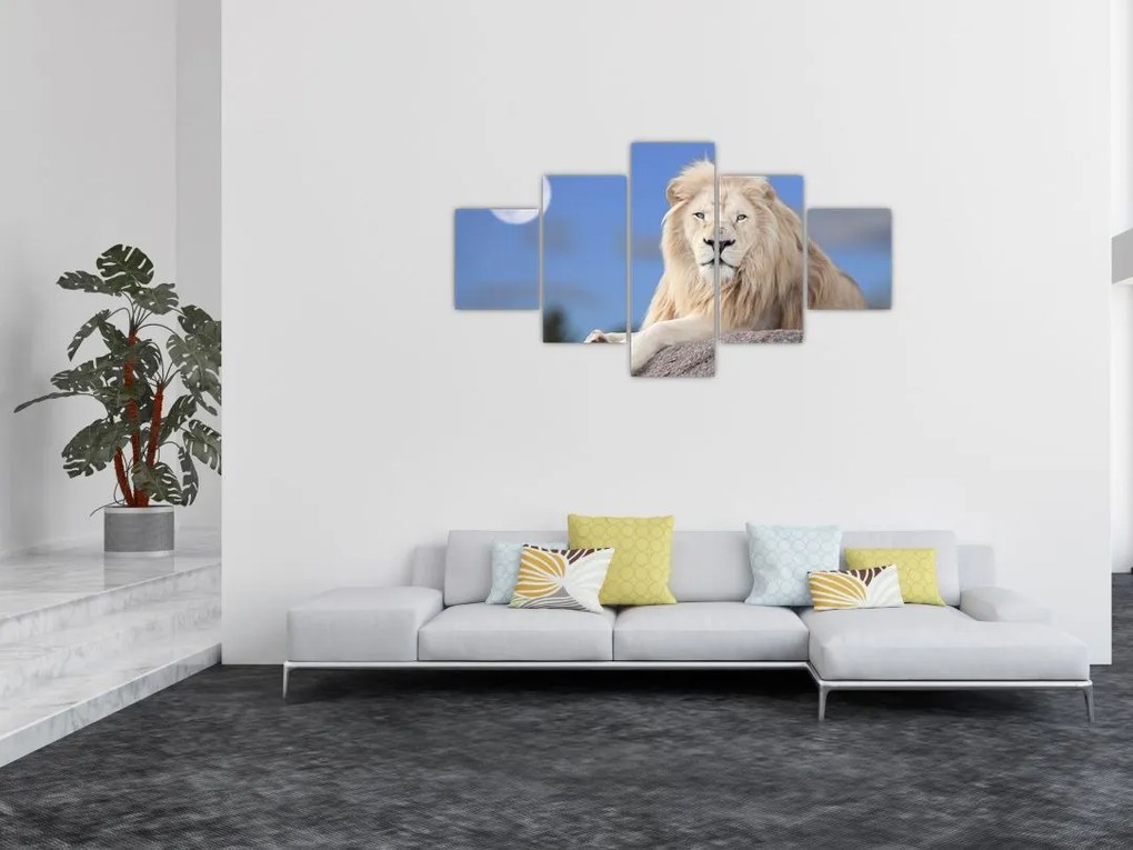 Obraz - Biały lew (125x70 cm)