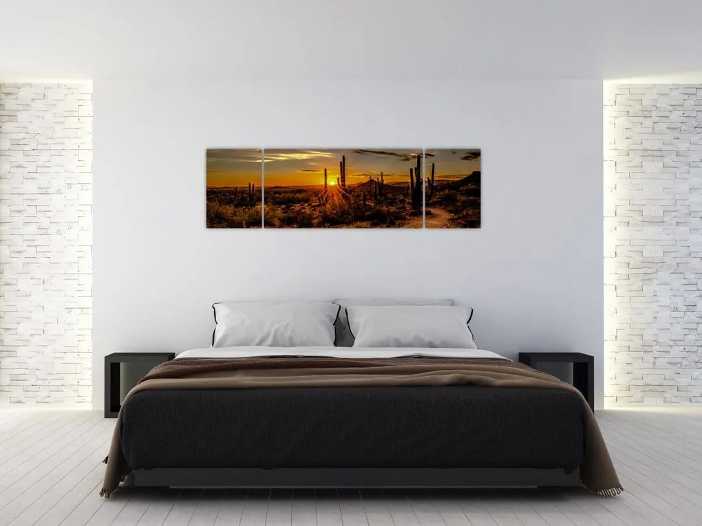 Obraz - Koniec dnia na pustyni w Arizonie (170x50 cm)