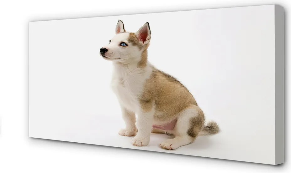 Duży obraz na płótnie Siedzący Mały Piesek