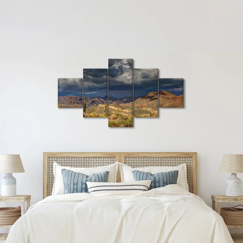 Obraz - kaktusy w przyrodzie (125x70 cm)