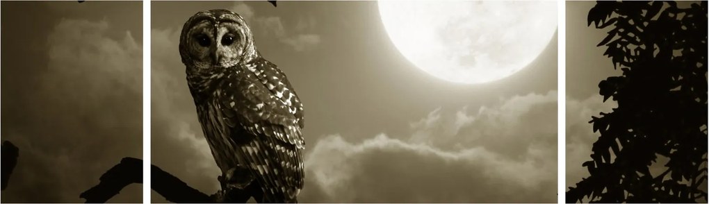 Obraz - Nocna sowa, złoty (170x50 cm)