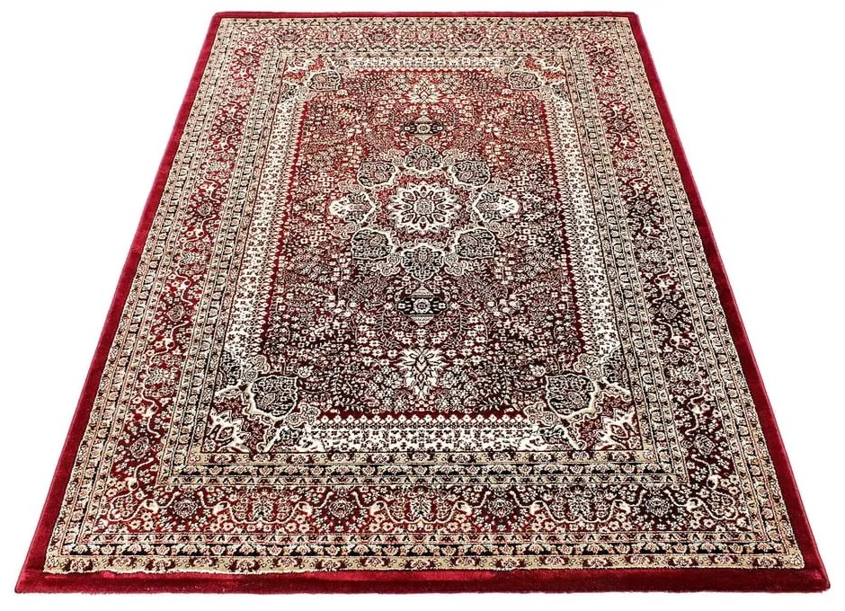 Bordowy dywan 240x340 cm Marrakesh – Ayyildiz Carpets
