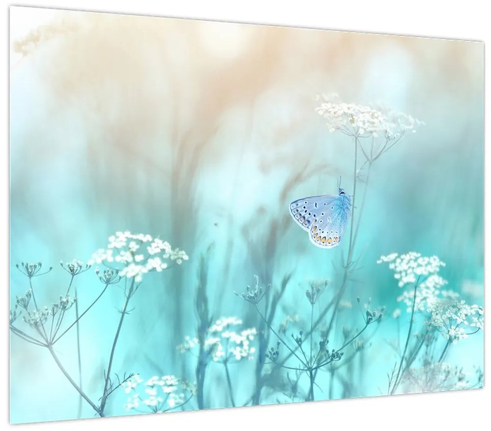 Obraz - Motyl w niebieskim (70x50 cm)