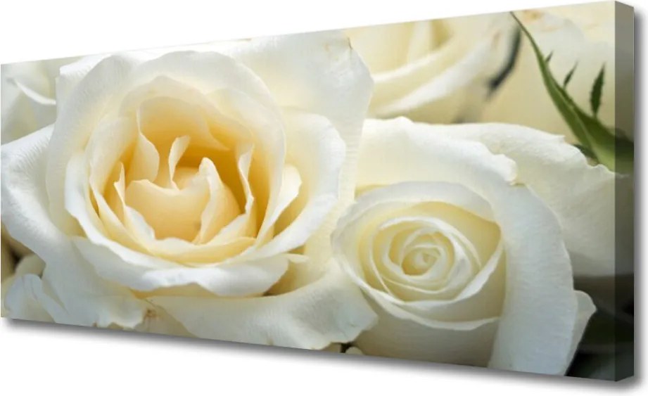 Obraz na płótnie Elegancja Czerwonych Róż