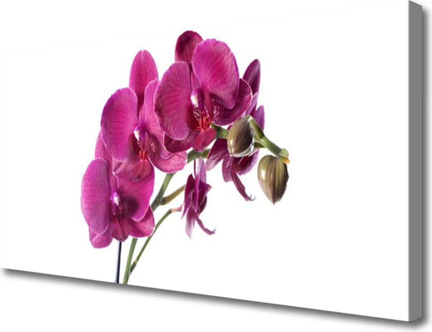 Zdjęcie na płótnie Kaskada nad Górskim Potokiem