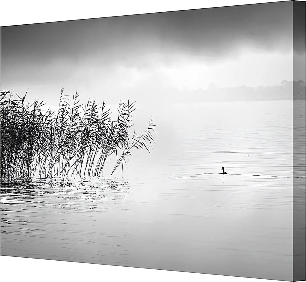 Obraz na płótnie By the Lake II