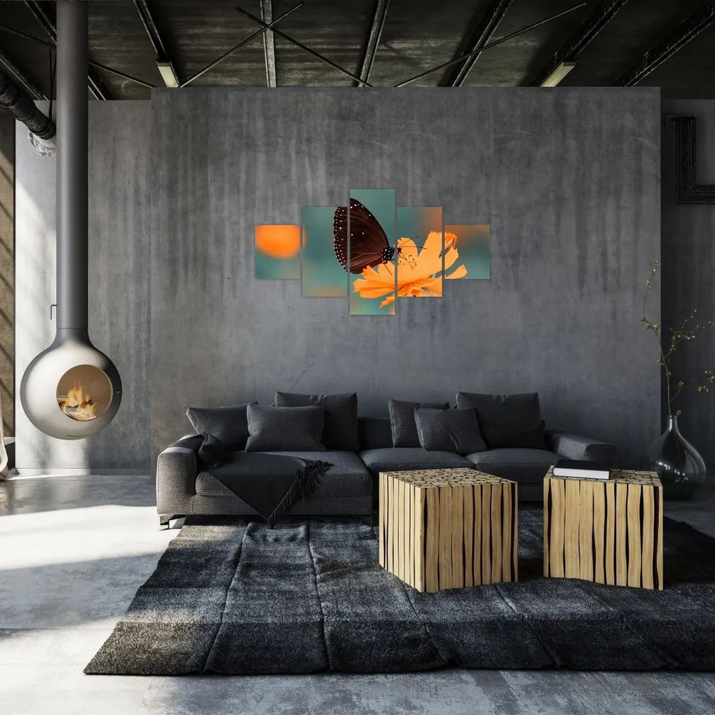 Obraz - motyl na pomarańczowym kwiatku (125x70 cm)