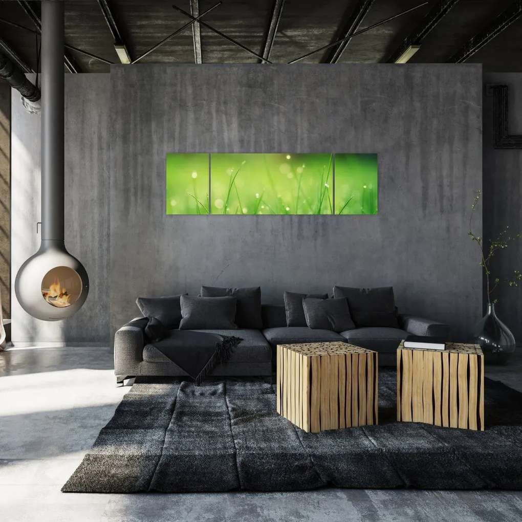 Obraz - rosa na trawie (170x50 cm)
