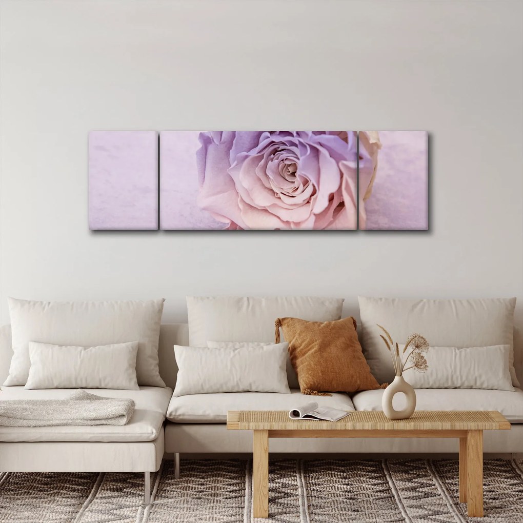 Obraz szczegółu kwiatu róży (170x50 cm)