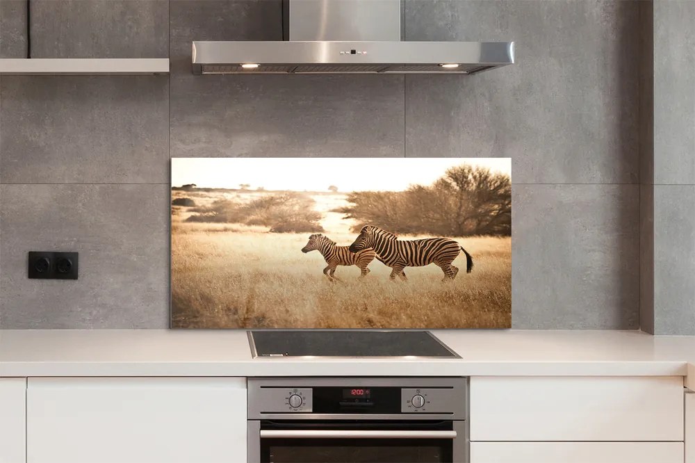 Panel szklany do Kuchni Sylwetka Zebry o Zachodzie