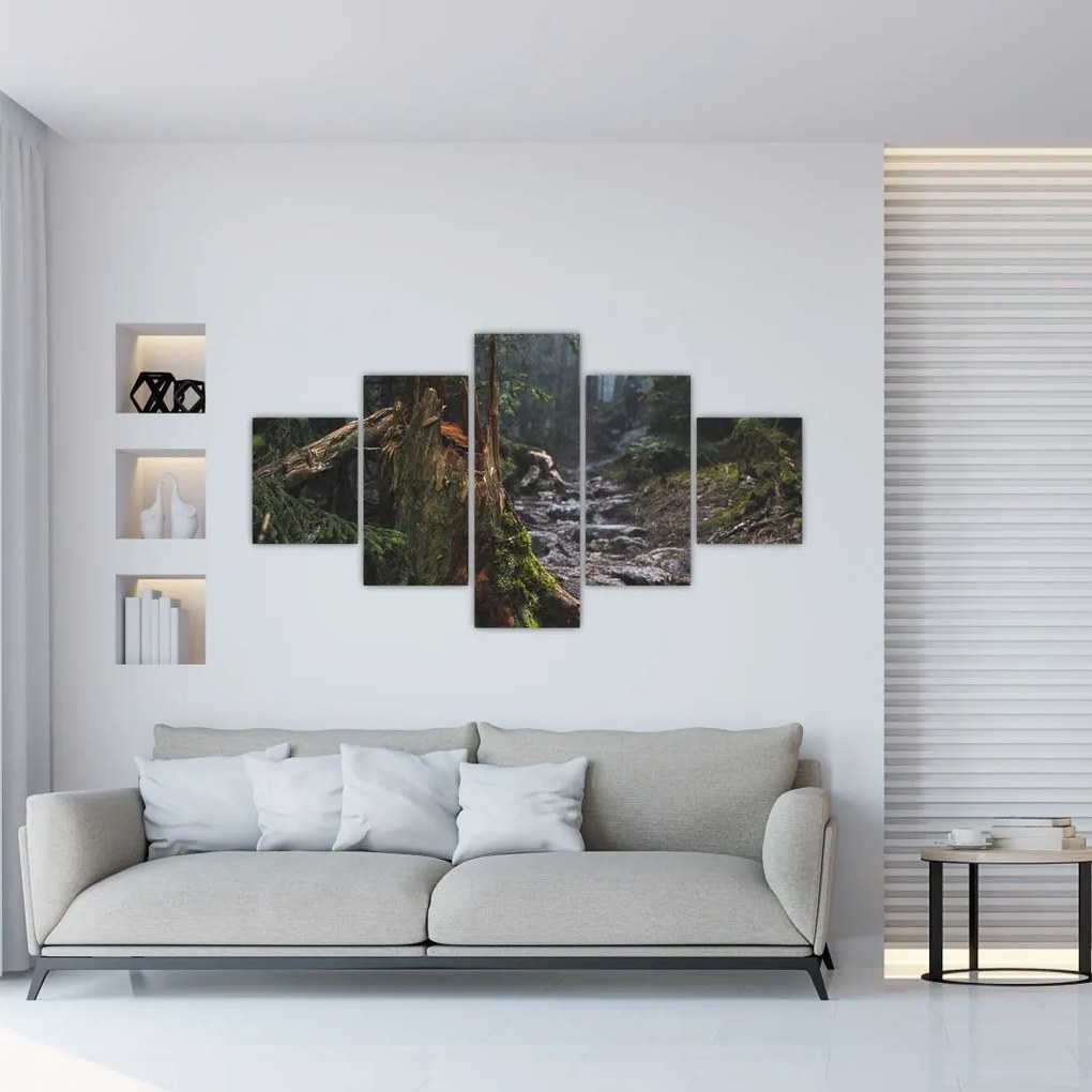 Obraz - W lesie (125x70 cm)