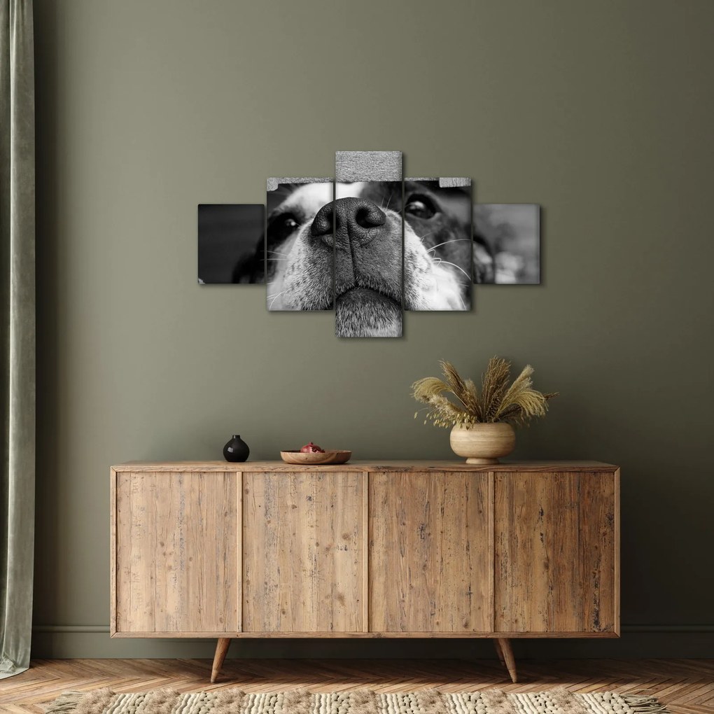 Obraz psa (125x70 cm)