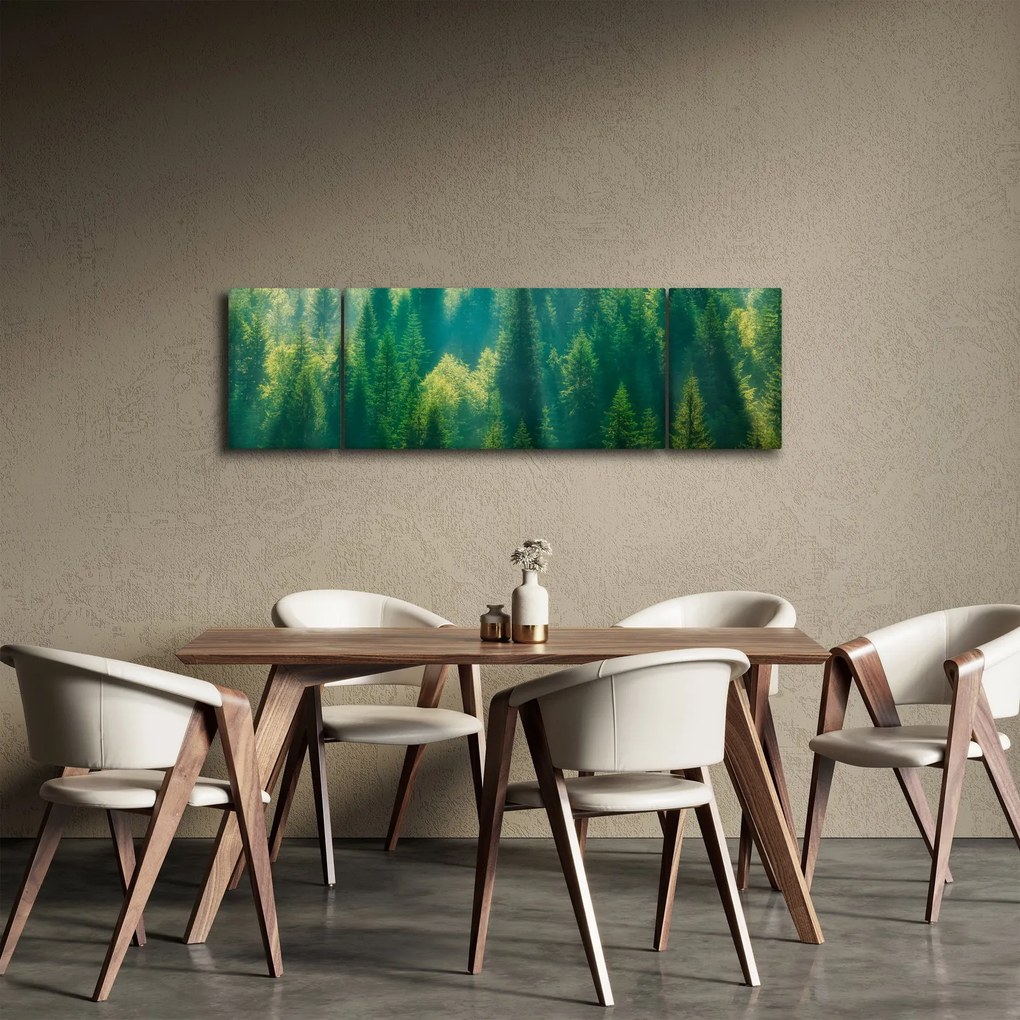 Obraz - Las sosnowy (170x50 cm)