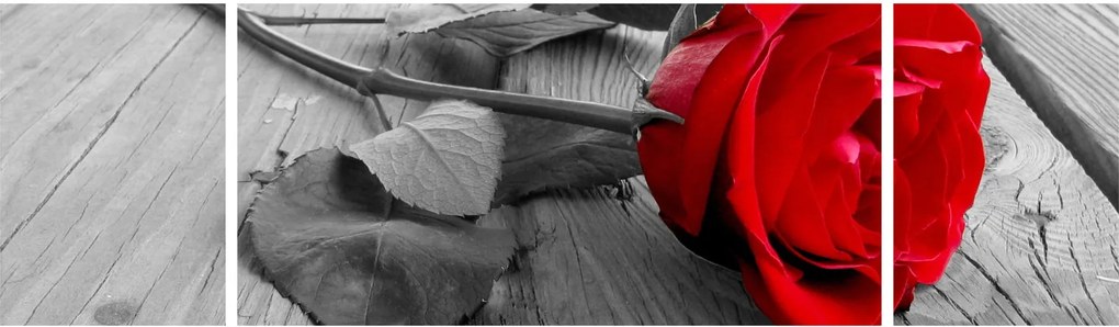 Obraz czerwonej róży (170x50 cm)