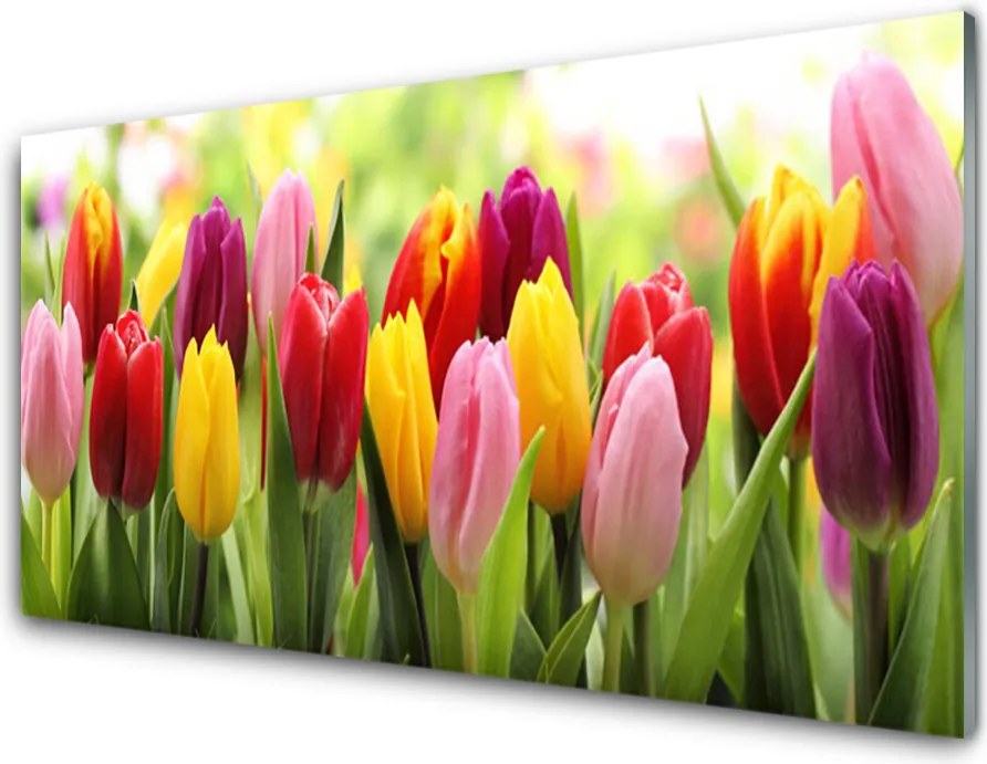 Panel Szklany Pastelowy Bukiet Tulipanów