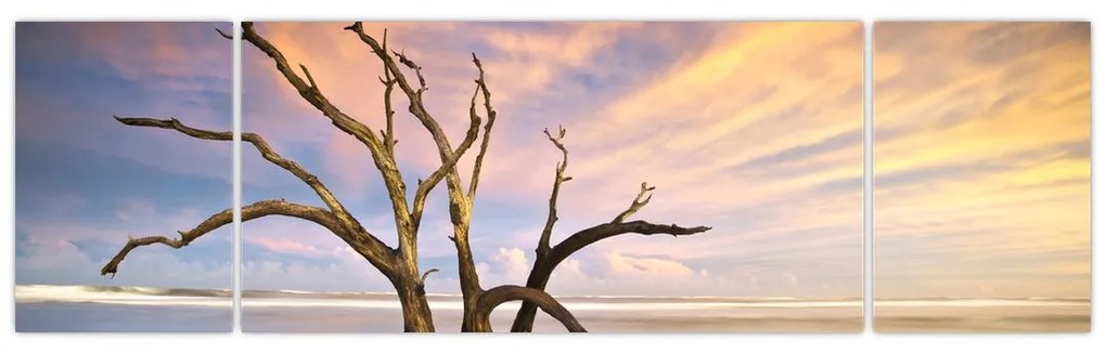 Obraz drzewa w oceanie (170x50 cm)