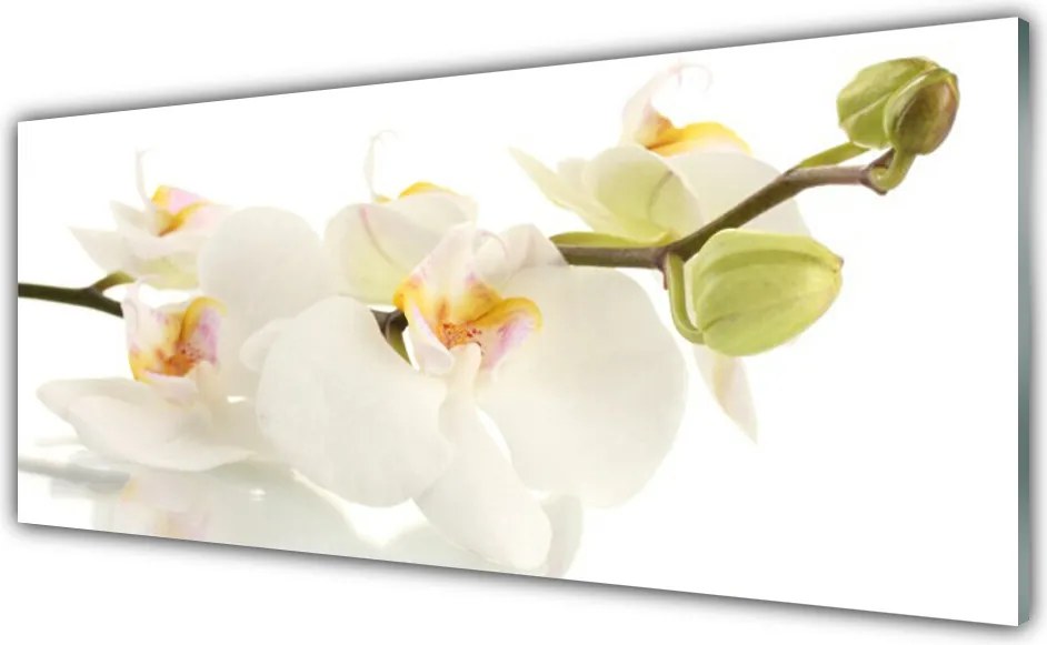 Szkło Dekoracyjne do Kuchni Letnia Kompozycja Kwiatowa