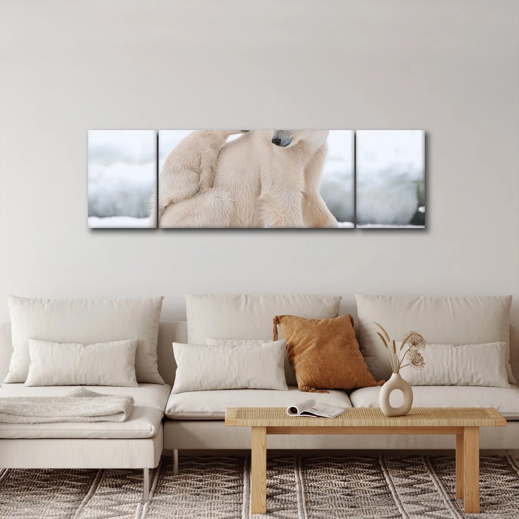 Obraz - Niedźwiedzie polarne (170x50 cm)