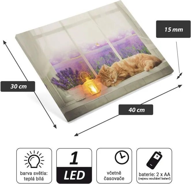 Obraz podświetlany - Fototapeta kot, 1 LED, 30 x 40 cm