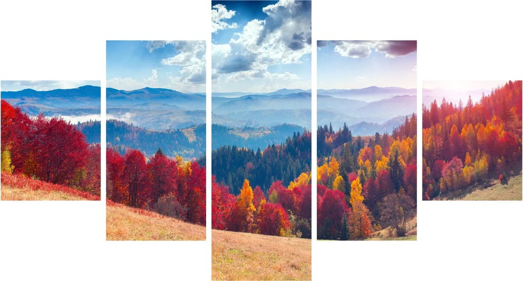 Obraz kolorowego jesiennego krajobrazu (125x70 cm)