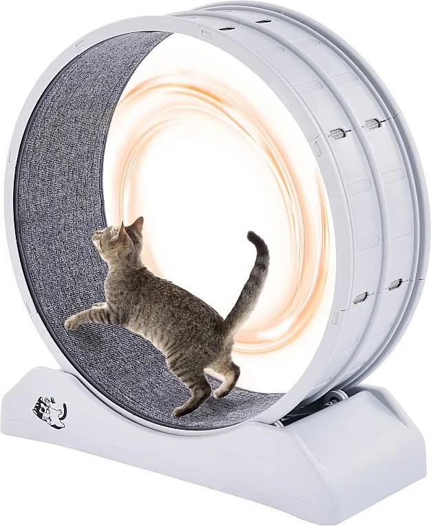 Koło do Ćwiczeń dla Kota, SucceBuy Koło do Ćwiczeń dla Kota 80 cm Duża Bieżnia Wewnętrzna Biała